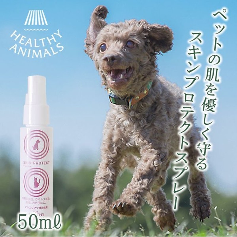 人気商品の 犬猫用 不快な害虫ノンノン スプレー500ml ペットが舐めても安全 ダニ ノミ 天然素材 人体無害 制虫 消臭  discoversvg.com