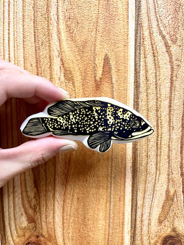 【魚之印】香港紅斑