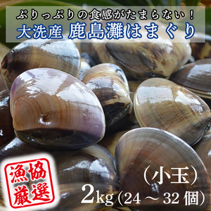 大洗産鹿島灘天然はまぐり 2㎏ 冷蔵 お吸い物 ハマグリ 蛤 貝 砂抜き処理 魚介類 大洗産 天然 はまぐり