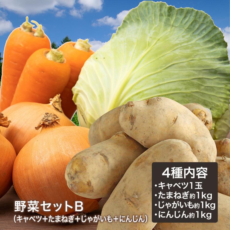 野菜セットB（キャベツ1玉・たまねぎ約1kg・じゃがいも約1kg・にんじん約1kg）4種セット きゃべつ 玉ねぎ ポテト 人参 定番 万能 おうちごはん おうち時間