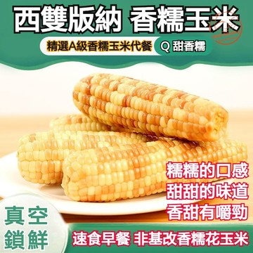 【即食代餐】現🔥貨雲南西雙版納香糯小玉米 小花糯玉米 早餐甜糯小玉米 玉米棒 香甜軟糯玉米 粗糧代餐 玉米 真空獨立包裝