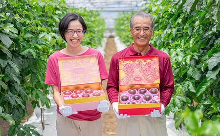 沖縄情熱農園 農薬不使用栽培パッションフルーツ　「情熱の女神」1kg（化粧箱）