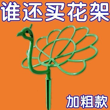 🚚臺灣出🚚孔雀太陽花架室內花架太陽花造型單層花架固定支撐架花卉支撐花器