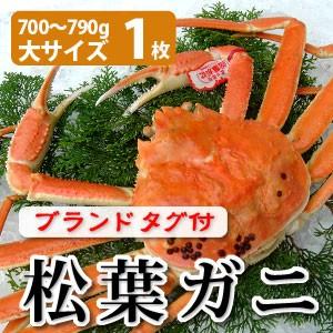 松葉ガニ（松葉がに）700〜790g（大サイズ）×1枚 日本海産 未冷凍 お歳暮ギフト 送料無料（北海道・沖縄を除く）