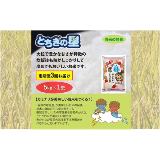 ふるさと納税 栃木県 鹿沼市 栃木県鹿沼市産 とちぎの星 無洗米 5kg 3回お届け 令和5年産 水稲うるち精米 単一原料米 お米  特A 大粒 [No.584…