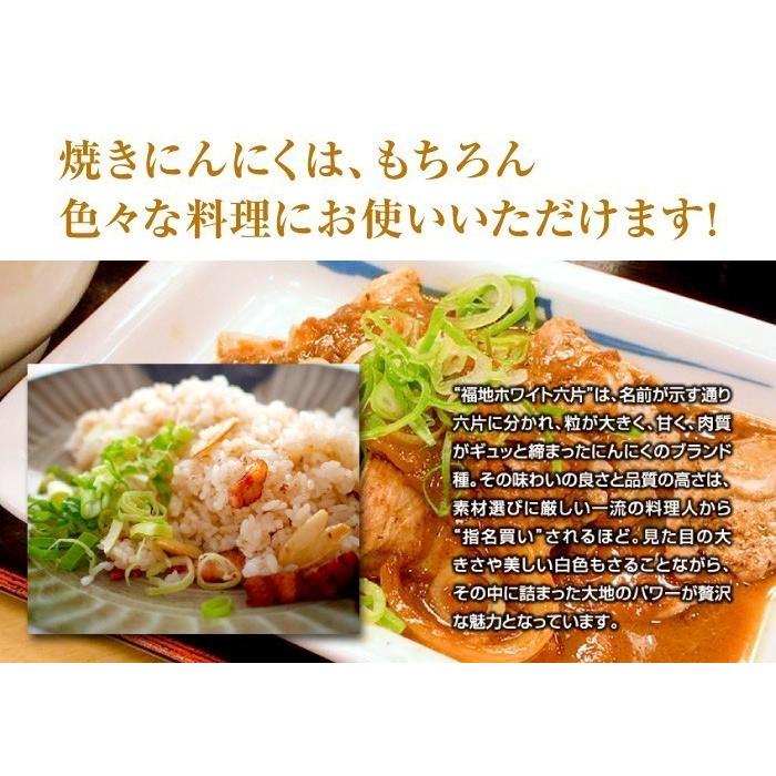 訳あり 乾燥にんにく 大玉 1kg 令和5年産 5kg以上ご購入で送料無料 国産 青森県産 福地ホワイト六片 Lサイズ 食品 香味野菜 にんにく 大蒜 健康のために