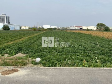 新化1.6方正農地｜台南市新化區大智路