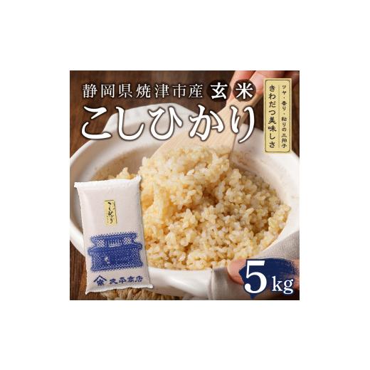 ふるさと納税 静岡県 焼津市 a10-596　 令和5年産新米 玄米 5kg コシヒカリ