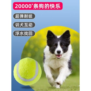 【48時熱賣】狗狗玩具球自嗨解悶神器寵物邊牧金毛柯基耐咬球訓練磨牙網球橡膠