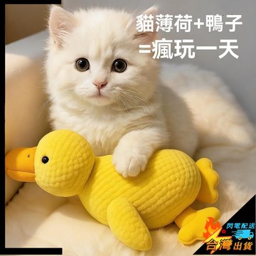 【台灣出貨】寵物玩具 貓玩具 耐咬磨牙 響紙發聲 毛絨玩具 貓薄荷玩具 陪睡鴨 寵物逗貓玩具 自嗨解悶 狗玩具