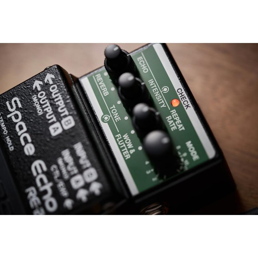 BOSS   RE-2 Space Echo (予約注文 4月23日発売)