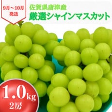 シャインマスカット 1kg 佐賀県唐津産〈先行受付〉2024年9月中旬より順次発送