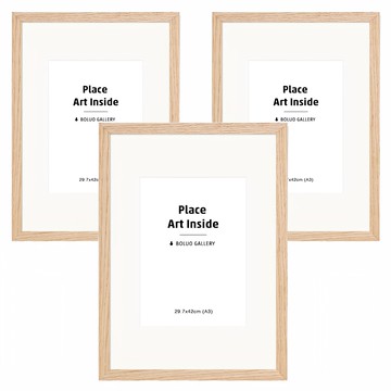 BOLUO GALLERY 菠蘿選畫所 實木畫框 A3  3個