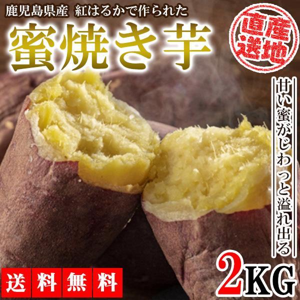 焼き芋 さつまいも 紅はるか 2kg サツマイモ 冷凍焼き芋 焼きいも 産地直送 薩摩芋 石焼き芋 芋 いも イモ 鹿児島県産 FJK-004