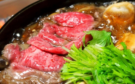 おかやま 和牛肉 A5 等級 満喫セット 合計約800g（ サーロインステーキ 約450g  すき焼・しゃぶしゃぶ用 ローススライス 約350g） 牛 赤身 肉 牛肉 冷凍