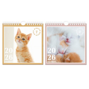 Sonnig晴天 2026年 方型貓咪掛曆(小)-小橘貓/睡覺貓