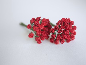 紙花，50 片，尺寸 1x0.8 公分。含苞待放的玫瑰花，紅色。