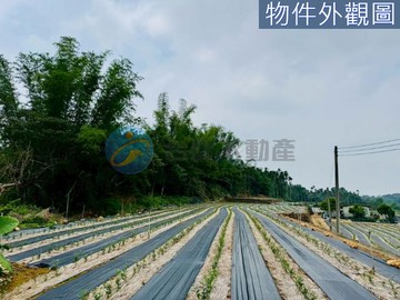 南投名間~名松路十分景觀美地｜南投縣名間鄉新厝段