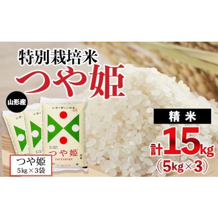 ふるさと納税 山形産 つや姫 15kg (5kg×3) FZ20-151 山形県山形市