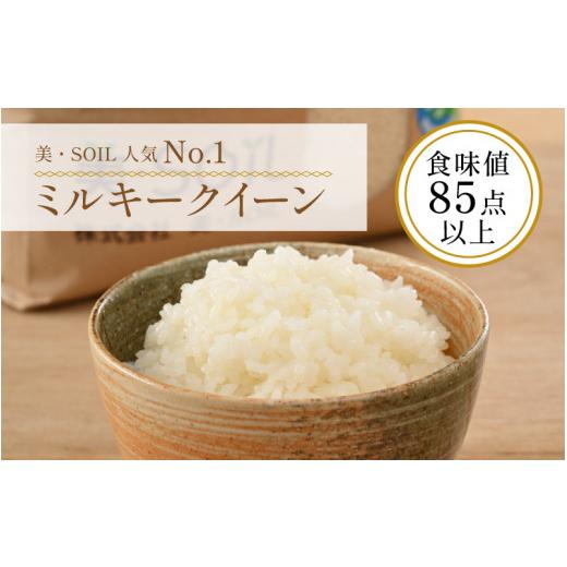 ふるさと納税 福井県 あわら市 令和5年産新米 ミルキークイーン 10kg 無洗米 特別栽培米 低農薬 《食味値85点以上！こだわり極上無洗米》 ／ 福井県 あわら 北…