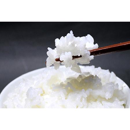 ふるさと納税 令和5年産「コシヒカリ」5kg（精米） 千葉県富津市