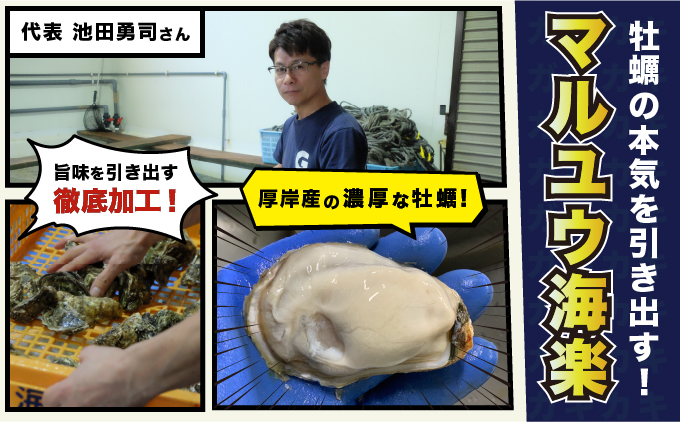 訳あり 牡蠣 北海道厚岸産 殻付カキ 約4kg (25から50個) カキナイフ付 生食