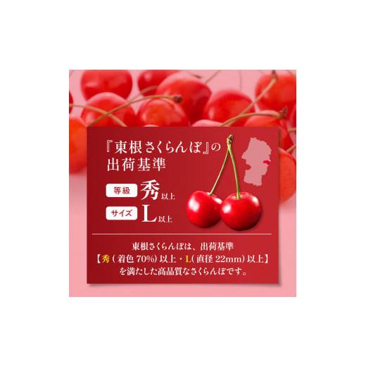 ふるさと納税 山形県 東根市 GI「東根さくらんぼ」 紅秀峰 700gバラ詰め(350g×2ハ゜ック) 東根農産センター提供　hi027-099