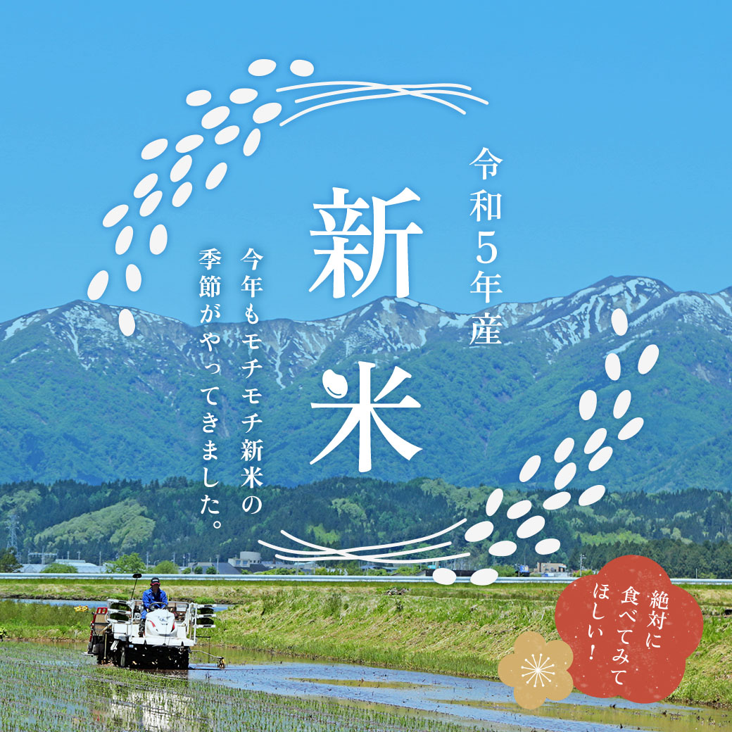 新米 令和5年産 長野県産 ミルキークイーン 流るる 30kg(5kg×6袋)