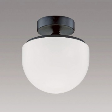 玄關單吸頂燈 B260-64-74523