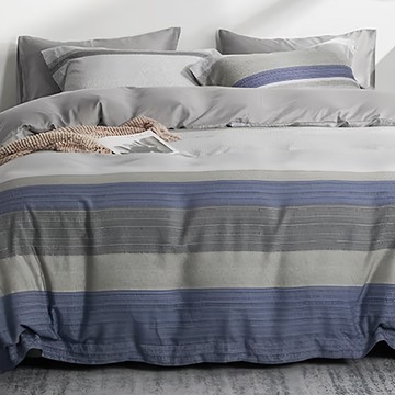 LoveCity 寢城之戀 台灣製 50支100%萊賽爾天絲 床包枕套組  單人3.5尺  蔚藍都市