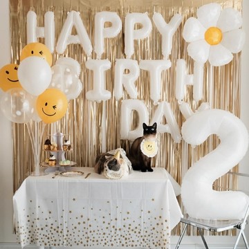 🐕‍🦺 隔日到貨 🐈‍⬛  寵物生日佈置 生日佈置 狗狗生日 貓咪生日 寵物生日 狗狗派對 貓咪派對  寵物派對 雨簾