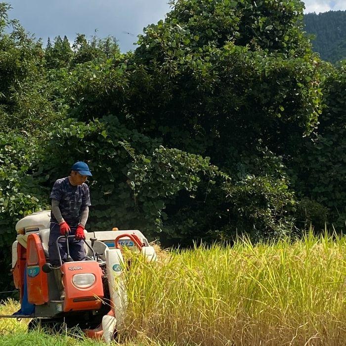 令和5年新米  ひのひかり 30kg 有機栽培米 送料無料 農家直送