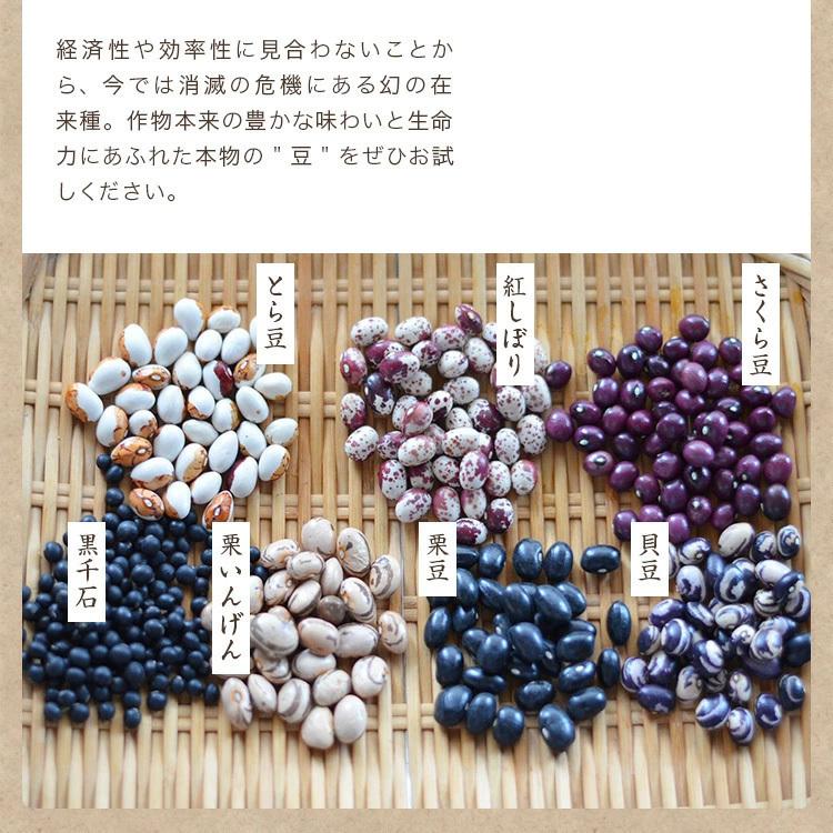 手亡豆 500g 無農薬 北海道産 令和3年産 農薬・化学肥料不使用 白いんげん 小粒