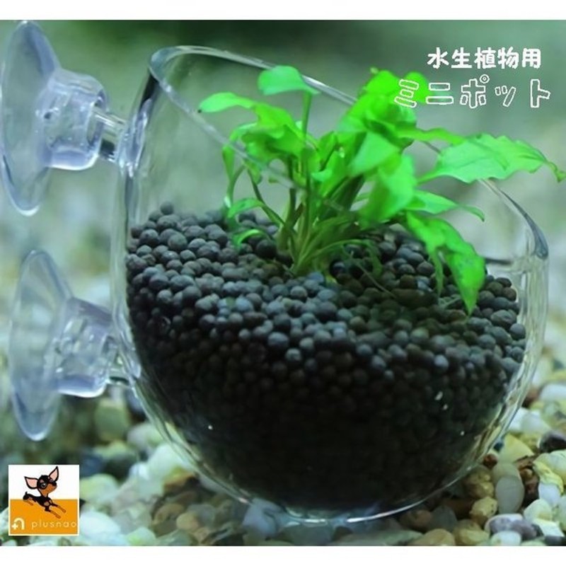 ミニポット カップ ミニ ホルダー 装飾 植栽 水生植物 熱帯魚 メダカ 金魚 水槽レイアウト アクアリウムグッズ 水槽用品 レイアウト用品 装飾 ペ 通販 Lineポイント最大0 5 Get Lineショッピング