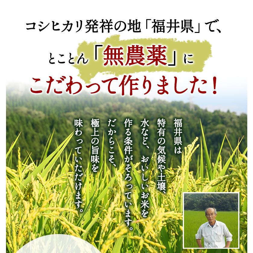 無農薬 玄米 米 2kg 無農薬 コシヒカリ 匠 令和5年福井県産 新米入荷 送料無料 無農薬・無化学肥料栽培