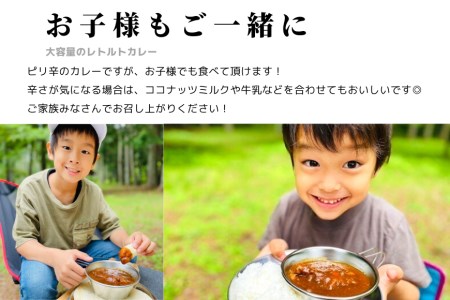 大容量300gのレトルトカレー10食セット！ホロホロの大きな手羽元が2本も入って食べ応え抜群！