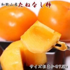 和歌山産たねなし柿約7.5kg(L～4Lサイズおまかせ・秀品)九度山町