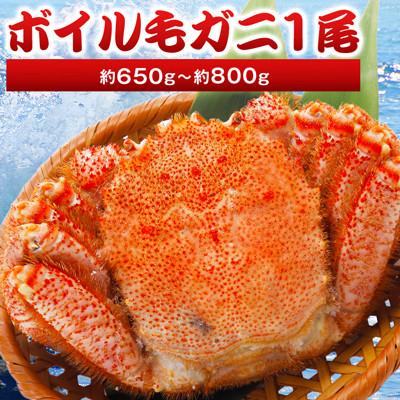 ふるさと納税 稚内市 ボイル毛ガニ1尾650g〜800g