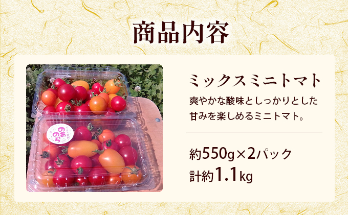  北海道 滝川市 産 ミックス ミニトマト 約1.1kg トマト 野菜 やさい みにとまと