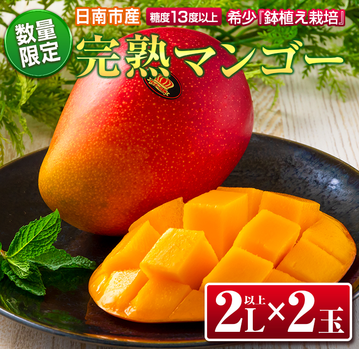 CB82-23_数量限定 希少 完熟 マンゴー 鉢植え栽培 2L以上×2玉 フルーツ 果物 国産 食品 デザート 完熟マンゴー 産地直送 送料無料