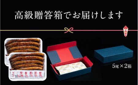 朝じめ うなぎ 溶岩焼き 蒲焼き 10尾（約140g×10尾）