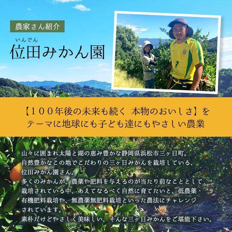 秀品 低農薬 有機栽培 三ヶ日 早生 みかん 10kg 送料無料 やさしいらぁ 3S 〜 3L サイズ不揃い 特別栽培 有機肥料 贈答用 ギフト 贈答 三ヶ日みかん 産地直送