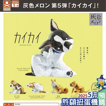 【許願扭蛋機】『現貨』 癢癢 全5種 扭蛋 轉蛋 Standstones 狗 抓癢 柴犬 鬥牛犬 公仔