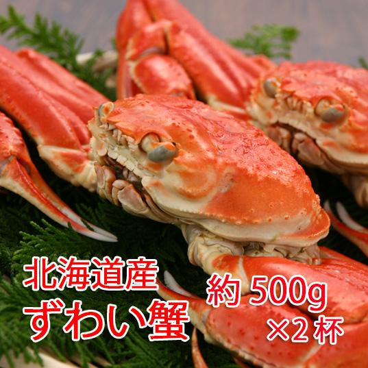 ずわい蟹　500g×2杯　1kg　冷凍便　カニ　姿