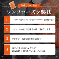 北国からの贈り物 豪華 サーモン 定期便 全3回 総量 3kg以上 