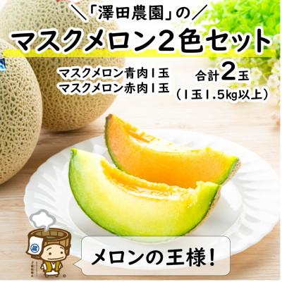 ふるさと納税 あわら市 マスクメロン 青肉 赤肉 2色セット(1.5kg以上 2玉入)食べ比べお楽しみ!