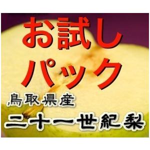 梨　訳あり　21世紀梨（デラックス）　２kg（4〜8玉入り）　送料無料　2024年産予約