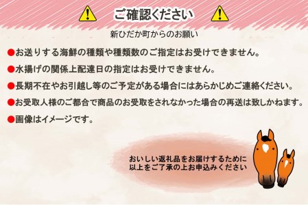 北海道産 旬のお魚 5種以上 豪華 お楽しみ詰め合わせ セット