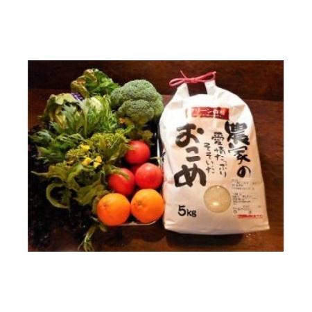 ふるさと納税 シェフの目線「大洲産のお米と季節のお野菜詰合せ」 愛媛県大洲市