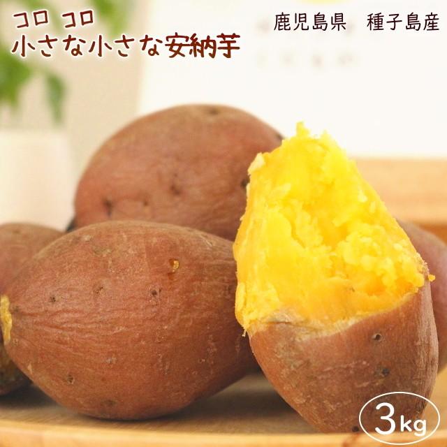 小さな安納芋約３ｋｇ 種子島産　家庭用　訳アリ（手のひらサイズ）